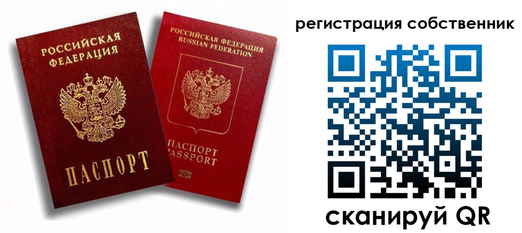 прописка штамп в Судогде